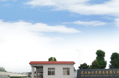 熱衷慈善的“醬品王”——記市政協(xié)委員、湖北紅日子農(nóng)業(yè)科技有限公司董事長(zhǎng)張平安